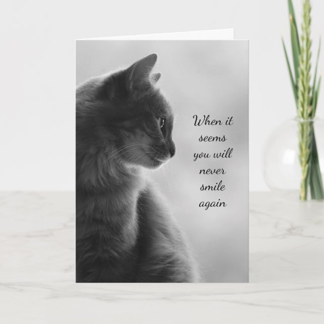 Encouragement Feel Better Sad Cat Animal Card (Front)