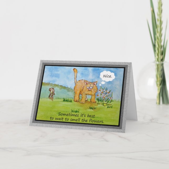 Encouragement Funny Humour Cat Dog You Can Do It C Card (Front)