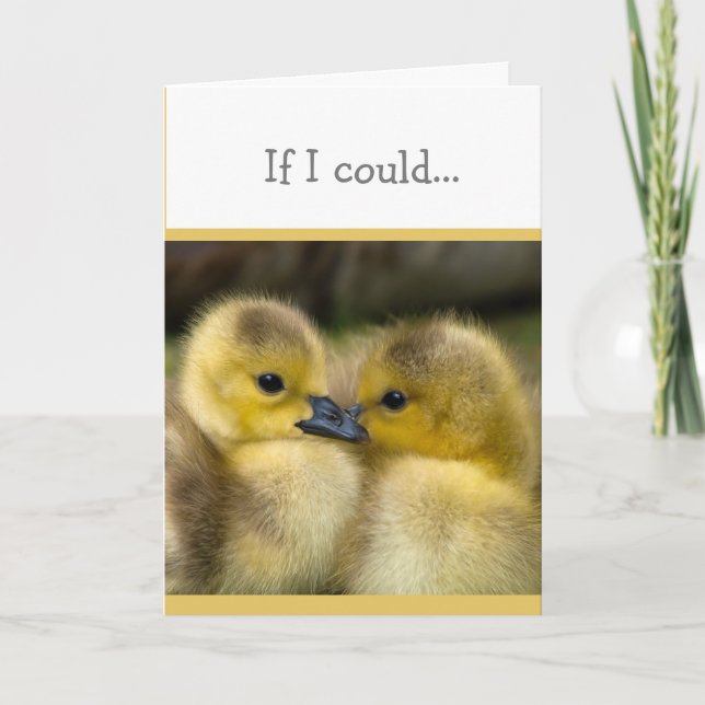 Encouragement or Get Well Cuddling Ducklings Card (Front)