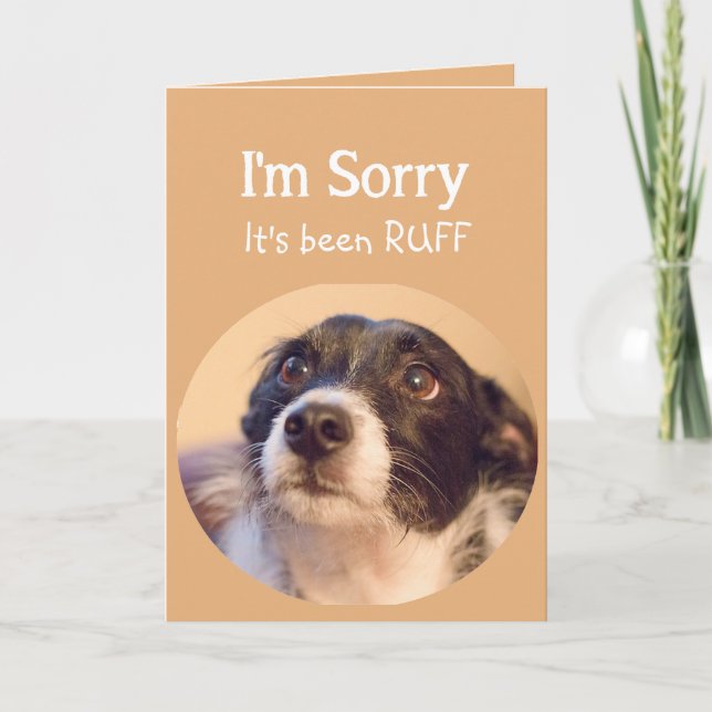 Encouragement or Get Well with a Sad but Cute Dog Card (Front)