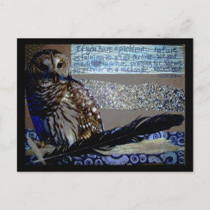 Encouragement Owl Postcard