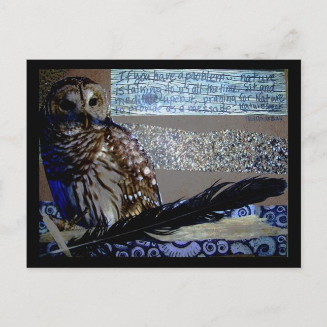 Encouragement Owl Postcard (Front)