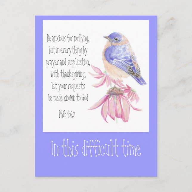 Encouragement Scripture Bluebird Garden Bird Postcard (Front)
