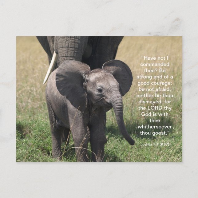 Encourager la carte postale Verse Bible (Devant)