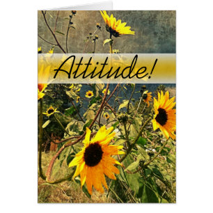 Encourager Les Tournesols Avant Les Nuages De Temp