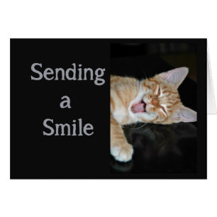 Encourager obtiennent à des sourires bons le chat