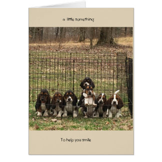 encouragez le chien de basset de carte