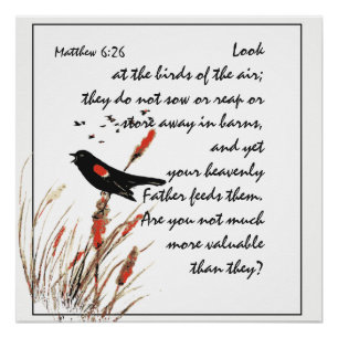 Encouraging Bible Scripture Matthew Bird of Air Poster