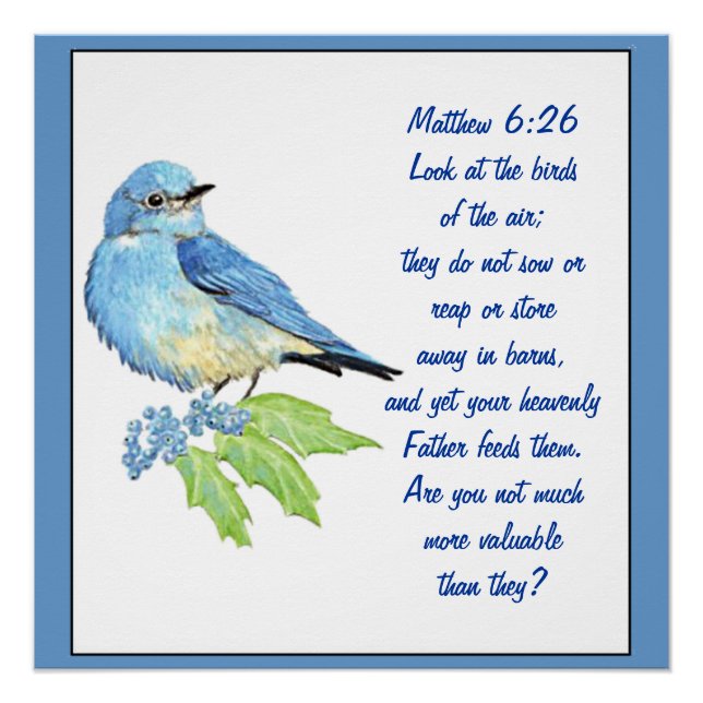 Encouraging Bible Scripture Matthew Bluebird Poster (Front)