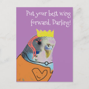 Encouraging fancy parakeet postcard