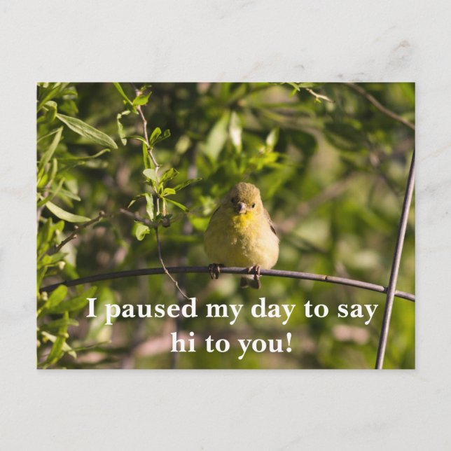 Encouraging Greeting Card with Yellow Baby Bird (Front)