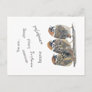 Encouraging Supportive Funny Sparrow Bird Postcard