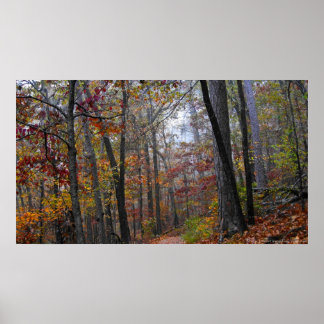 Encroaching Fog on Autumn Forest Trail Poster