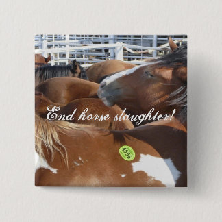 End horse slaughter! 2 inch square button