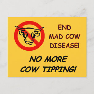 End Mad Cow Disease Postcard