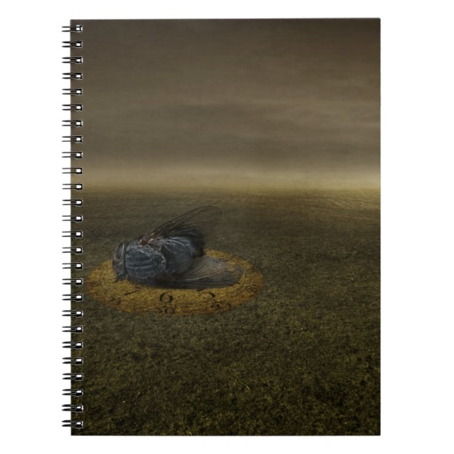 End of a goal 2013 notebook (Front)