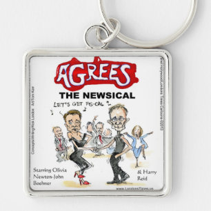 End Of Fiscal Cliff Funny Gifts Cards & Tees Keychain