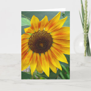 End of Summer Sunflower card