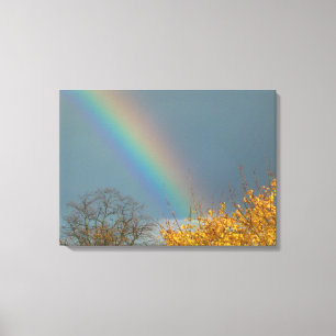 End of the Rainbow Canvas Print