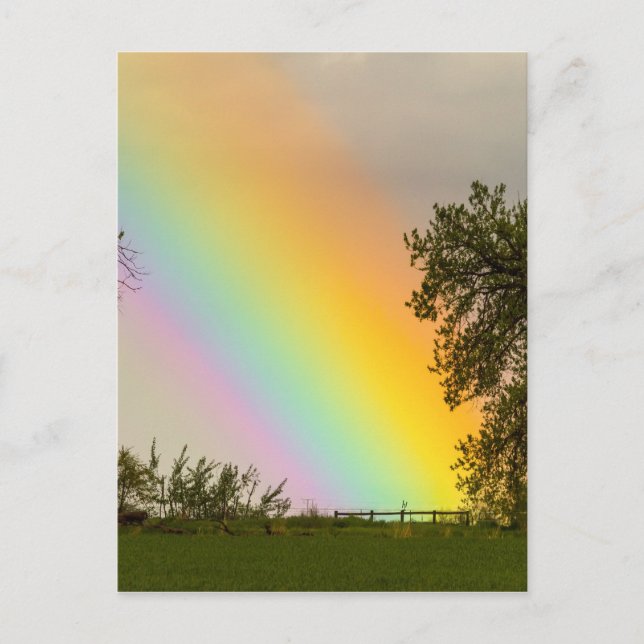 End Of The Rainbow Pot Of Gold Postcard (Front)