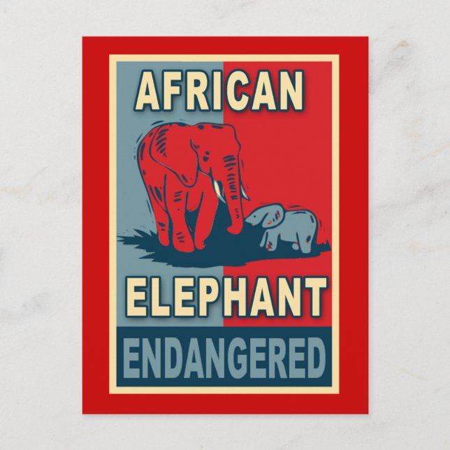 Endangered African Elephant Pop Art Tshirts Postcard (Front)