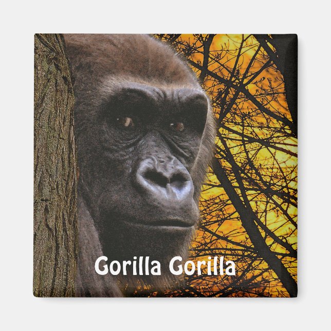 Endangered African Gorilla Great Ape Art Magnet (Front)