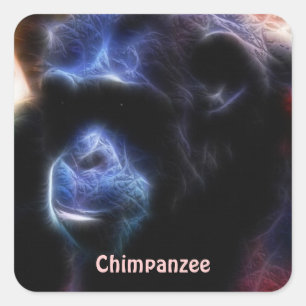 Endangered Chimpanzees African Wildlife Sticker