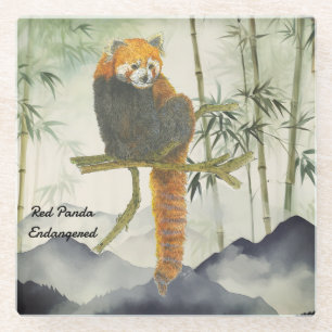 Endangered Cute Hand-Painted Red Panda Glass Coaster