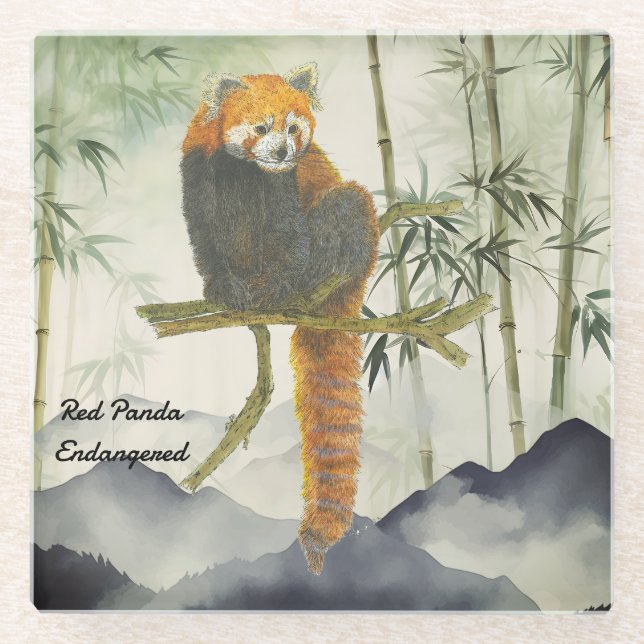 Endangered Cute Hand-Painted Red Panda  Glass Coaster (Front)