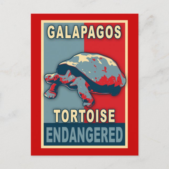 Endangered Galapagos Tortoise Pop Art Tshirts Postcard (Front)