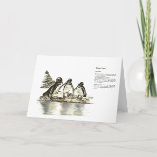 Endangered Hand Painted Print Penguins Thank you