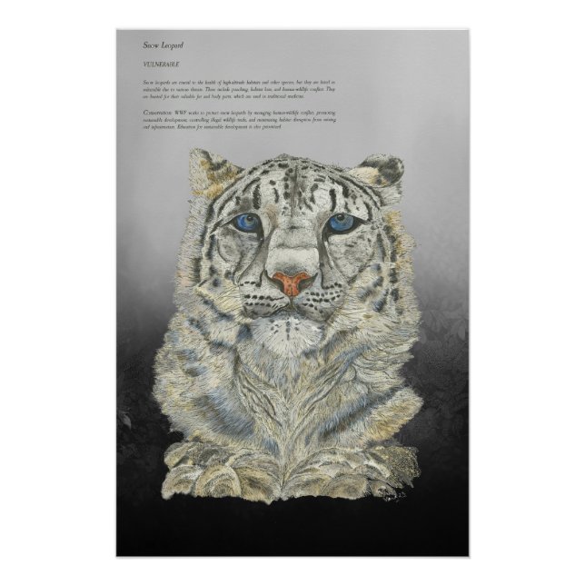 Endangered Hand Painted Print Snow Leopard poster (Front)
