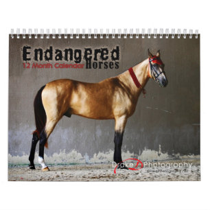 Endangered Horse Breeds Calendar