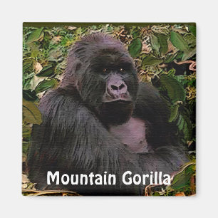Endangered Mountain Gorilla Great Apes Art Magnet
