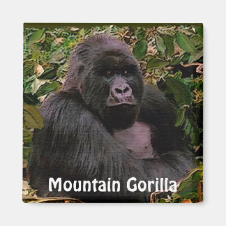 Endangered Mountain Gorilla Great Apes Art Magnet