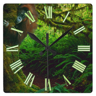 Endangered Orangutan & Rainforest Primate Image 2 Square Wall Clock