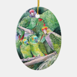 Endangered Parrots of Brazil's Atlantic Rainforest Ceramic Ornament