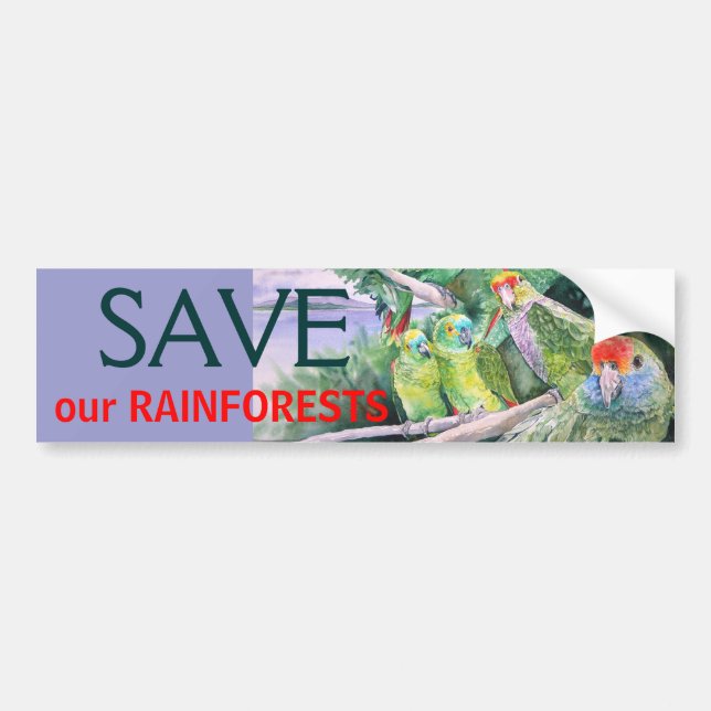 Endangered Parrots of the Atlantic Rainforest Bumper Sticker (Front)