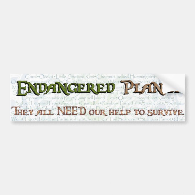 Endangered Planet Typography(Swirl) Bumper Sticker (Front)