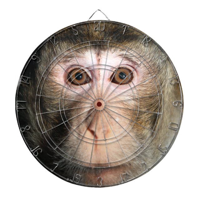 Endangered Rainforest Ape Dartboard (Front)