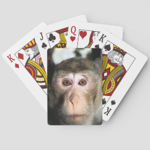 Endangered Rainforest Ape Playing Cards