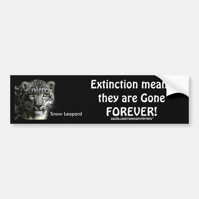 ENDANGERED SNOW LEOPARD  Bumper Stickers (Front)