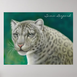 Endangered Snow Leopard Poster