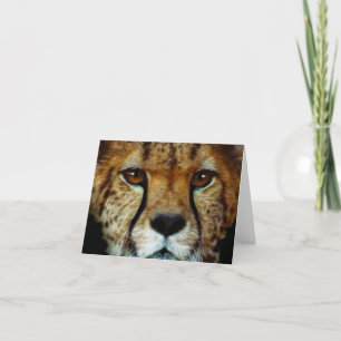 ENDANGERED SPECIES CHEETAH Greeting Card