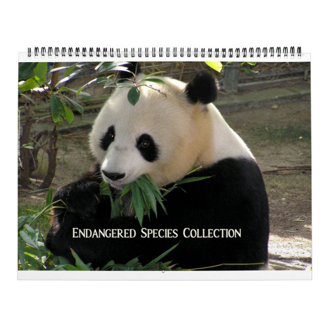 Endangered Species Collection 12-Month Calendar (Cover)