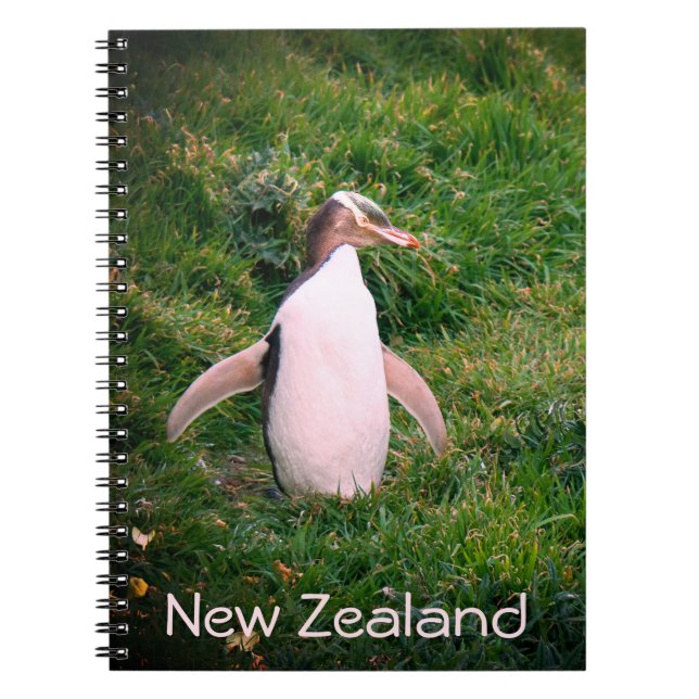Endangered Yellow Eyed Penguin in New Zealand Note Notebook (Front)