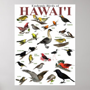 Endemic Birds of Hawai'i Poster