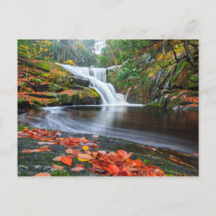 Ender's Falls in Fall Postcard
