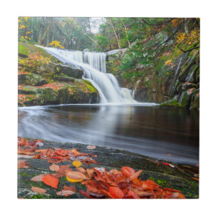 Ender's Falls in Fall Tile