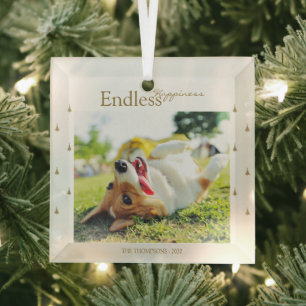 Endless Happiness Custom Photo Christmas Glass Ornament